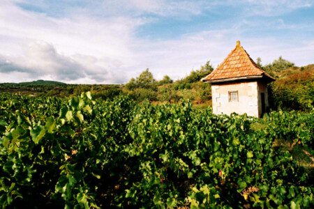 location languedoc cesseras13
