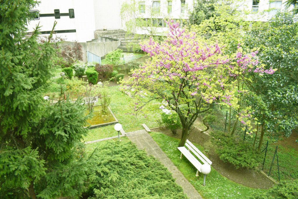 LDP View from the Terrace