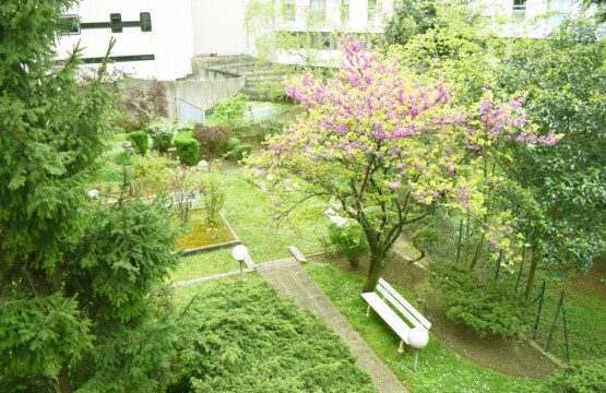 LDP View from the Terrace