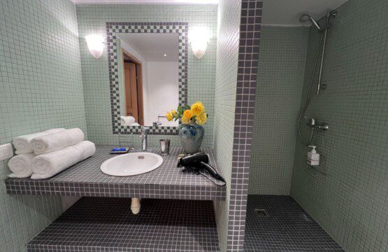Les Oliviers Walk in Shower and Sink