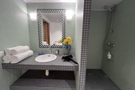 Les Oliviers Walk in Shower and Sink