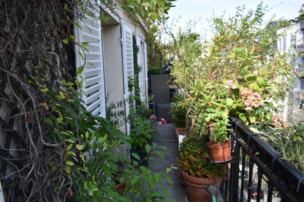 RDP Balcony 2