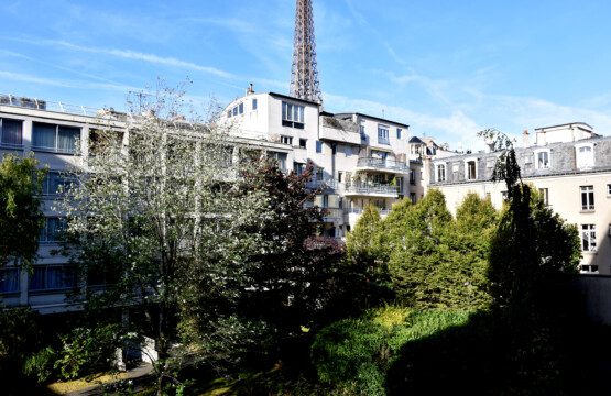Eiffel Tower Suffren View from the Apartment